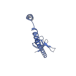 31256_7eq9_BA_v1-2
Cryo-EM structure of designed protein nanoparticle TIP60 (Truncated Icosahedral Protein composed of 60-mer fusion proteins)