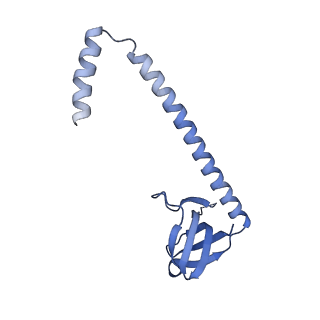 31256_7eq9_B_v1-2
Cryo-EM structure of designed protein nanoparticle TIP60 (Truncated Icosahedral Protein composed of 60-mer fusion proteins)