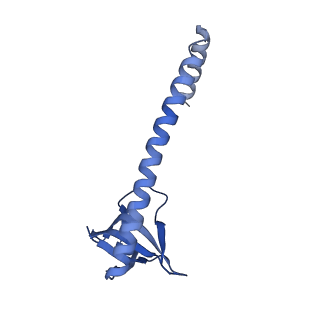 31256_7eq9_CA_v1-2
Cryo-EM structure of designed protein nanoparticle TIP60 (Truncated Icosahedral Protein composed of 60-mer fusion proteins)