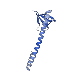 31256_7eq9_MA_v1-2
Cryo-EM structure of designed protein nanoparticle TIP60 (Truncated Icosahedral Protein composed of 60-mer fusion proteins)