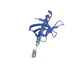 31256_7eq9_W_v1-2
Cryo-EM structure of designed protein nanoparticle TIP60 (Truncated Icosahedral Protein composed of 60-mer fusion proteins)