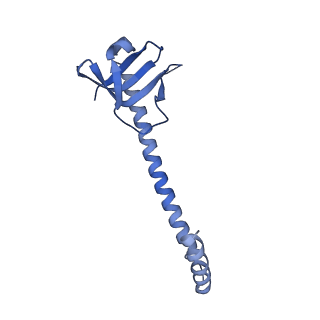 31256_7eq9_X_v1-2
Cryo-EM structure of designed protein nanoparticle TIP60 (Truncated Icosahedral Protein composed of 60-mer fusion proteins)