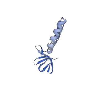 31256_7eq9_YA_v1-2
Cryo-EM structure of designed protein nanoparticle TIP60 (Truncated Icosahedral Protein composed of 60-mer fusion proteins)