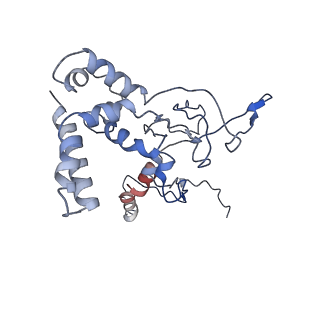 31265_7eqg_B_v1-2
Structure of Csy-AcrIF5