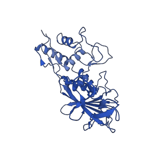 31265_7eqg_D_v1-2
Structure of Csy-AcrIF5