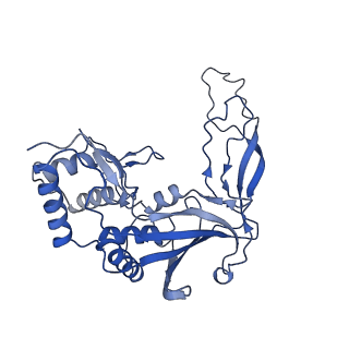 31265_7eqg_F_v1-2
Structure of Csy-AcrIF5