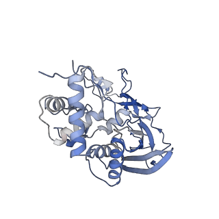 31265_7eqg_G_v1-2
Structure of Csy-AcrIF5