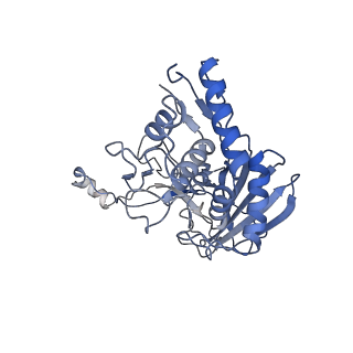 31265_7eqg_H_v1-2
Structure of Csy-AcrIF5