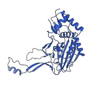 31265_7eqg_I_v1-2
Structure of Csy-AcrIF5