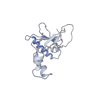 31265_7eqg_L_v1-2
Structure of Csy-AcrIF5