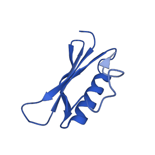 31265_7eqg_P_v1-2
Structure of Csy-AcrIF5