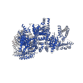 28551_8era_A_v1-1
RMC-5552 in complex with mTORC1 and FKBP12