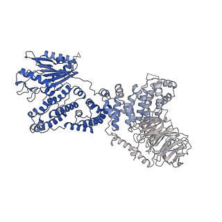 28551_8era_Y_v1-1
RMC-5552 in complex with mTORC1 and FKBP12
