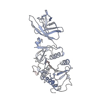 28554_8erl_A_v1-1
CryoEM Structure of Lipoprotein Lipase Dimer