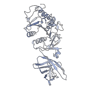 28554_8erl_B_v1-1
CryoEM Structure of Lipoprotein Lipase Dimer