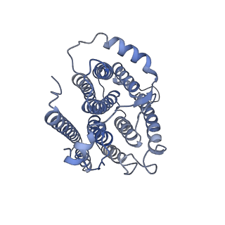 28556_8ero_A_v1-2
Structure of Xenopus cholinephosphotransferase1 in complex with CDP