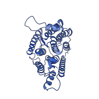 28557_8erp_A_v1-2
Structure of Xenopus cholinephosphotransferase1 in complex with CDP-choline