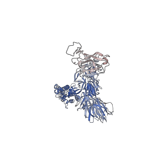 28559_8err_C_v1-2
SARS-CoV-2 Omicron BA.1 spike ectodomain trimer in complex with the S2X324 neutralizing antibody Fab fragment