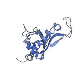 3941_6eri_AF_v1-0
Structure of the chloroplast ribosome with chl-RRF and hibernation-promoting factor