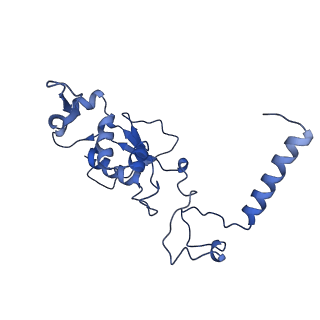 3941_6eri_AJ_v1-0
Structure of the chloroplast ribosome with chl-RRF and hibernation-promoting factor