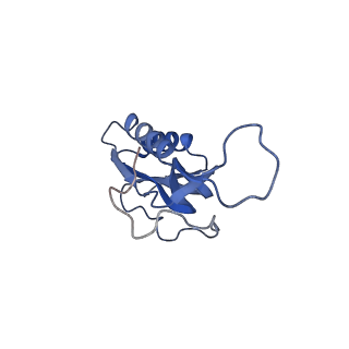 3941_6eri_AM_v1-0
Structure of the chloroplast ribosome with chl-RRF and hibernation-promoting factor