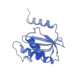 3941_6eri_AO_v1-0
Structure of the chloroplast ribosome with chl-RRF and hibernation-promoting factor