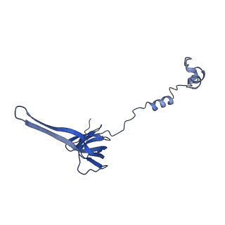 3941_6eri_AR_v1-0
Structure of the chloroplast ribosome with chl-RRF and hibernation-promoting factor