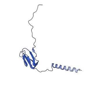 3941_6eri_AW_v1-0
Structure of the chloroplast ribosome with chl-RRF and hibernation-promoting factor