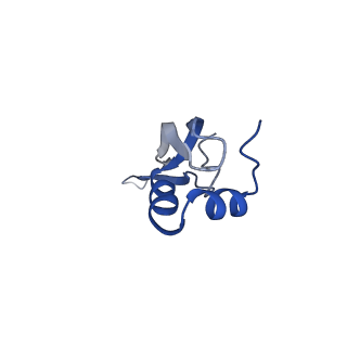 3941_6eri_AX_v1-0
Structure of the chloroplast ribosome with chl-RRF and hibernation-promoting factor