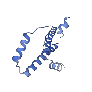 3941_6eri_AY_v1-0
Structure of the chloroplast ribosome with chl-RRF and hibernation-promoting factor