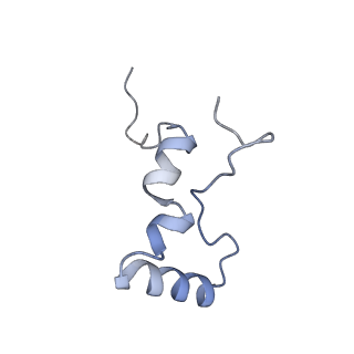 3941_6eri_Ac_v1-0
Structure of the chloroplast ribosome with chl-RRF and hibernation-promoting factor