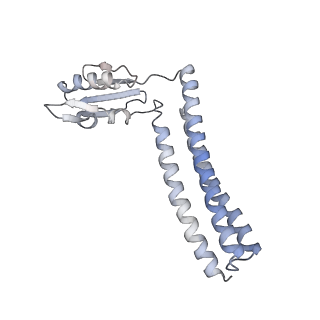 3941_6eri_Az_v1-0
Structure of the chloroplast ribosome with chl-RRF and hibernation-promoting factor