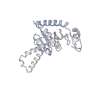 3941_6eri_BB_v1-0
Structure of the chloroplast ribosome with chl-RRF and hibernation-promoting factor