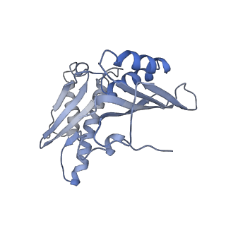 3941_6eri_BC_v1-0
Structure of the chloroplast ribosome with chl-RRF and hibernation-promoting factor