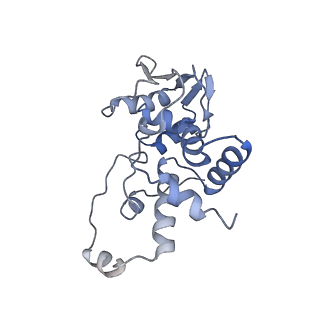 3941_6eri_BD_v1-0
Structure of the chloroplast ribosome with chl-RRF and hibernation-promoting factor