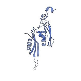 3941_6eri_BE_v1-0
Structure of the chloroplast ribosome with chl-RRF and hibernation-promoting factor