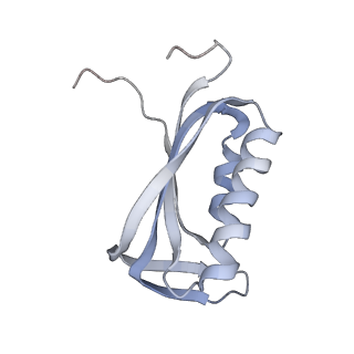 3941_6eri_BF_v1-0
Structure of the chloroplast ribosome with chl-RRF and hibernation-promoting factor