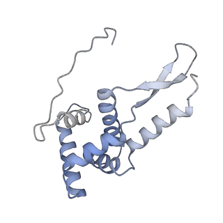3941_6eri_BG_v1-0
Structure of the chloroplast ribosome with chl-RRF and hibernation-promoting factor