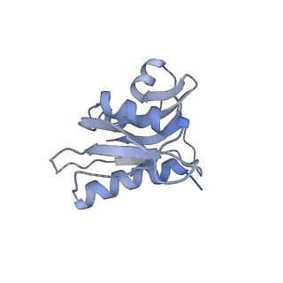 3941_6eri_BH_v1-0
Structure of the chloroplast ribosome with chl-RRF and hibernation-promoting factor