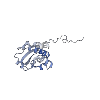 3941_6eri_BI_v1-0
Structure of the chloroplast ribosome with chl-RRF and hibernation-promoting factor