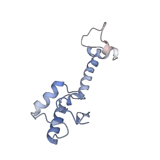 3941_6eri_BM_v1-0
Structure of the chloroplast ribosome with chl-RRF and hibernation-promoting factor