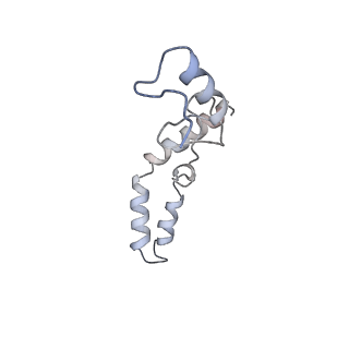 3941_6eri_BN_v1-0
Structure of the chloroplast ribosome with chl-RRF and hibernation-promoting factor