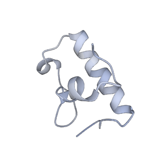 3941_6eri_BR_v1-0
Structure of the chloroplast ribosome with chl-RRF and hibernation-promoting factor