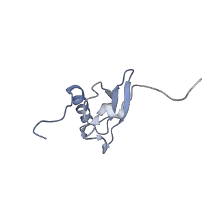 3941_6eri_BS_v1-0
Structure of the chloroplast ribosome with chl-RRF and hibernation-promoting factor
