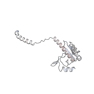 24411_8esq_3_v1-2
Ytm1 associated nascent 60S ribosome State 2