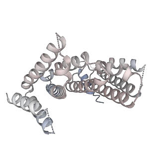 24411_8esq_7_v1-2
Ytm1 associated nascent 60S ribosome State 2