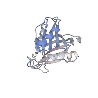 24411_8esq_A_v1-2
Ytm1 associated nascent 60S ribosome State 2