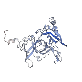 24411_8esq_B_v1-2
Ytm1 associated nascent 60S ribosome State 2