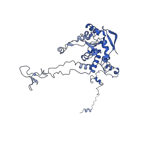 24411_8esq_C_v1-2
Ytm1 associated nascent 60S ribosome State 2