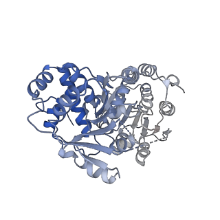 24411_8esq_D_v1-2
Ytm1 associated nascent 60S ribosome State 2